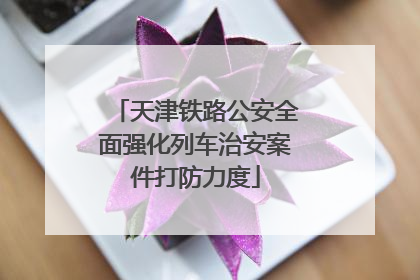 天津铁路公安全面强化列车治安案件打防力度