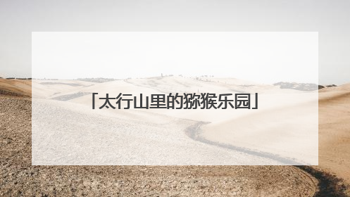 太行山里的猕猴乐园