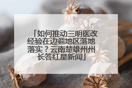 如何推动三明医改经验在边疆地区落地落实？云南楚雄州州长答红星新闻