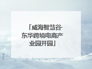 威海智慧谷·东华跨境电商产业园开园