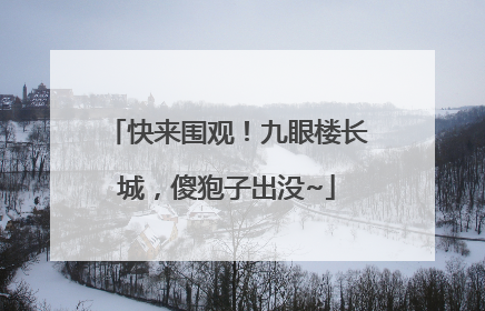 快来围观！九眼楼长城，傻狍子出没~