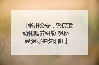 彬州公安：警民联动化赡养纠纷 枫桥经验守护夕阳红