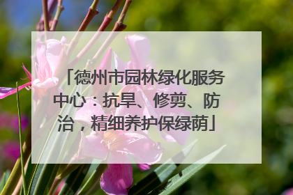 德州市园林绿化服务中心：抗旱、修剪、防治，精细养护保绿荫