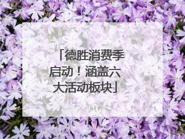 德胜消费季启动！涵盖六大活动板块