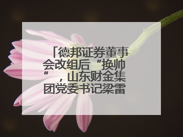 德邦证券董事会改组后“换帅”，山东财金集团党委书记梁雷出任董事长