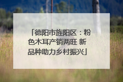 德阳市旌阳区：粉色木耳产销两旺 新品种助力乡村振兴