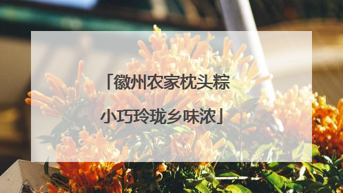 徽州农家枕头粽 小巧玲珑乡味浓