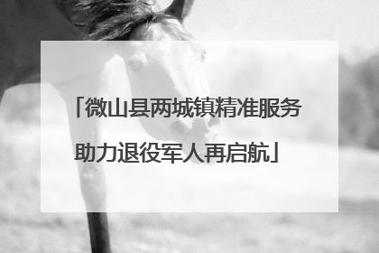 微山县两城镇精准服务助力退役军人再启航