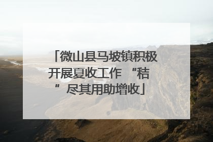 微山县马坡镇积极开展夏收工作 “秸”尽其用助增收