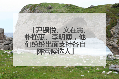 尹锡悦、文在寅、朴槿惠、李明博，他们纷纷出面支持各自阵营候选人