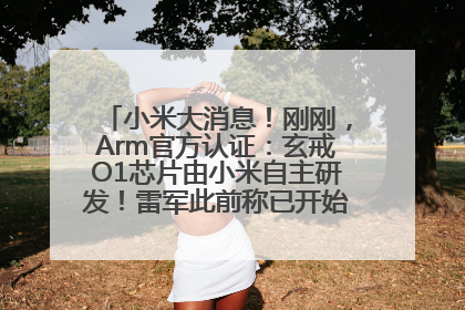 小米大消息！刚刚，Arm官方认证：玄戒O1芯片由小米自主研发！雷军此前称已开始大规模量产