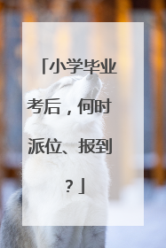 小学毕业考后，何时派位、报到？