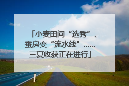 小麦田间“选秀”、蚕房变“流水线”……三夏收获正在进行