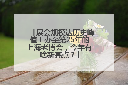 展会规模达历史峰值！办至第25年的上海老博会，今年有啥新亮点？