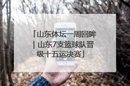 山东体坛一周回眸｜山东7支篮球队晋级十五运决赛