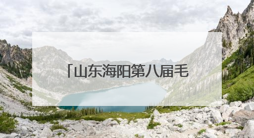 山东海阳第八届毛衫艺术展暨“海阳印象”嘉年华启幕