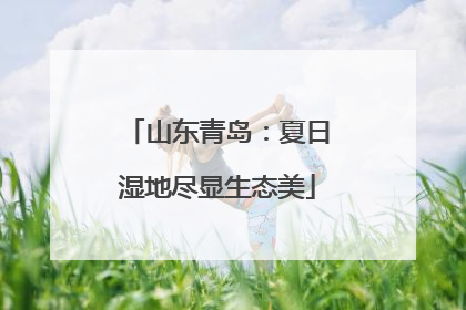 山东青岛：夏日湿地尽显生态美