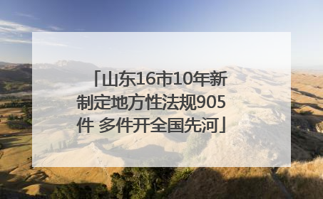 山东16市10年新制定地方性法规905件 多件开全国先河