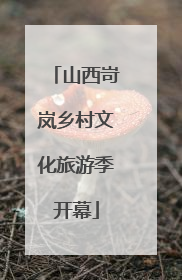 山西岢岚乡村文化旅游季开幕