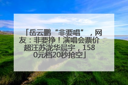 岳云鹏“非要唱”，网友：非要挣！演唱会票价超汪苏泷华晨宇，1580元档20秒抢空