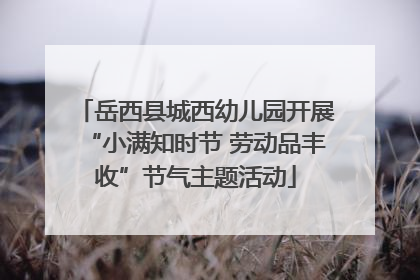 岳西县城西幼儿园开展“小满知时节 劳动品丰收”节气主题活动