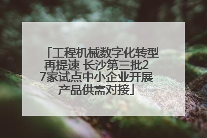工程机械数字化转型再提速 长沙第三批27家试点中小企业开展产品供需对接