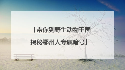 带你到野生动物王国揭秘鄂州人专属暗号