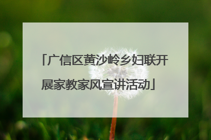 广信区黄沙岭乡妇联开展家教家风宣讲活动