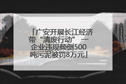 广安开展长江经济带“清废行动” 一企业违规倾倒500吨污泥被罚8万元