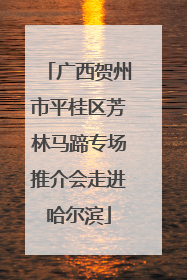 广西贺州市平桂区芳林马蹄专场推介会走进哈尔滨