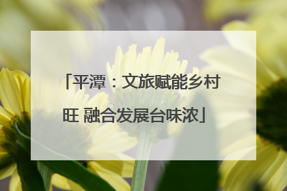 平潭：文旅赋能乡村旺 融合发展台味浓
