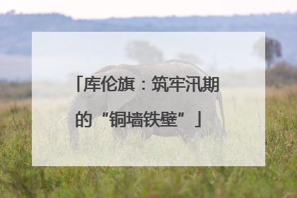 库伦旗：筑牢汛期的“铜墙铁壁”