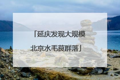 延庆发现大规模北京水毛茛群落