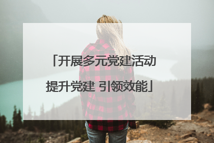 开展多元党建活动 提升党建 引领效能
