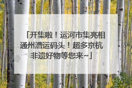 开集啦！运河市集亮相通州漕运码头！超多京杭非遗好物等您来~