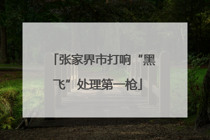 张家界市打响“黑飞”处理第一枪