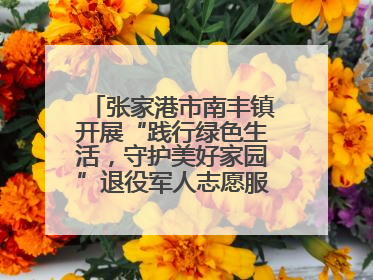 张家港市南丰镇开展“践行绿色生活，守护美好家园”退役军人志愿服务活动