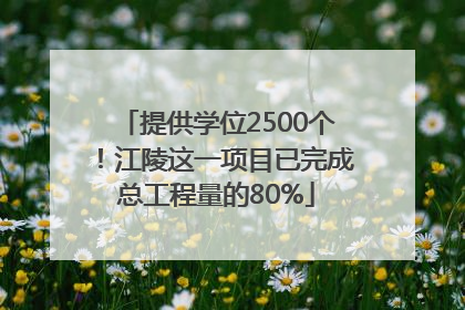 提供学位2500个！江陵这一项目已完成总工程量的80%