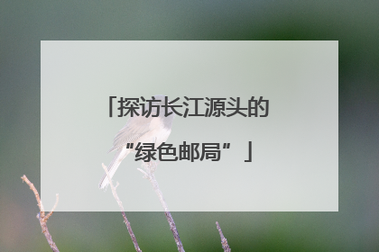 探访长江源头的“绿色邮局”
