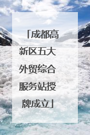 成都高新区五大外贸综合服务站授牌成立