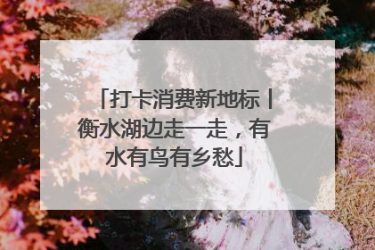 打卡消费新地标丨衡水湖边走一走，有水有鸟有乡愁