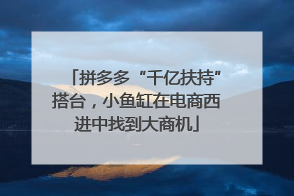 拼多多“千亿扶持”搭台，小鱼缸在电商西进中找到大商机