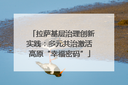 拉萨基层治理创新实践：多元共治激活高原“幸福密码”