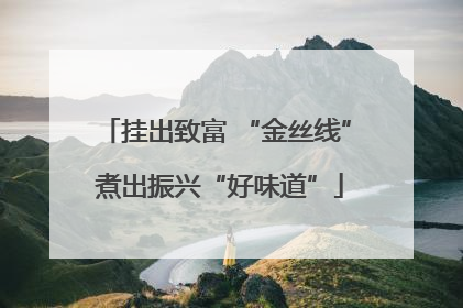挂出致富 “金丝线” 煮出振兴“好味道”
