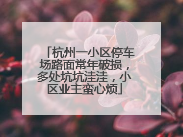 杭州一小区停车场路面常年破损，多处坑坑洼洼，小区业主蛮心烦