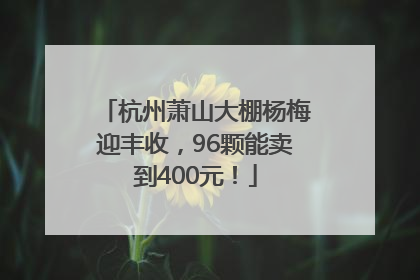 杭州萧山大棚杨梅迎丰收，96颗能卖到400元！