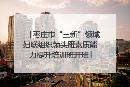 枣庄市“三新”领域妇联组织领头雁素质能力提升培训班开班