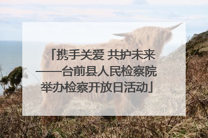 携手关爱 共护未来——台前县人民检察院举办检察开放日活动