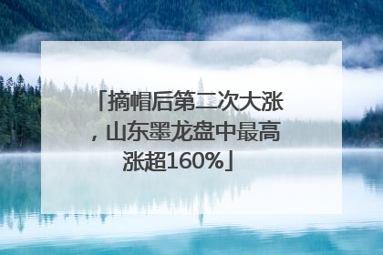 摘帽后第二次大涨，山东墨龙盘中最高涨超160%