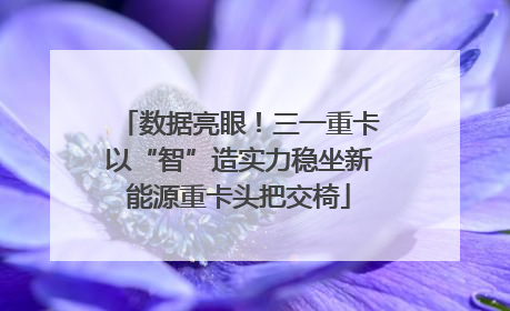数据亮眼！三一重卡以“智”造实力稳坐新能源重卡头把交椅